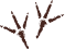 chicken foot prints