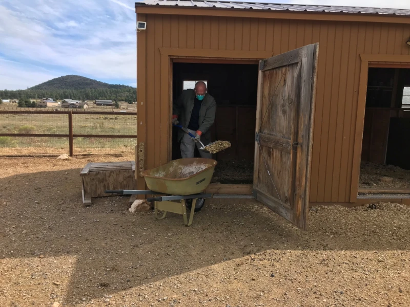 cleaning out the stalls at sutter bs animal rescue in flagstaff cleaning out the stalls at sutter bs animal rescue in flagstaff