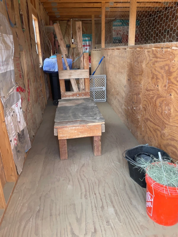 hoof trimming table at sutter bs in flagstaff